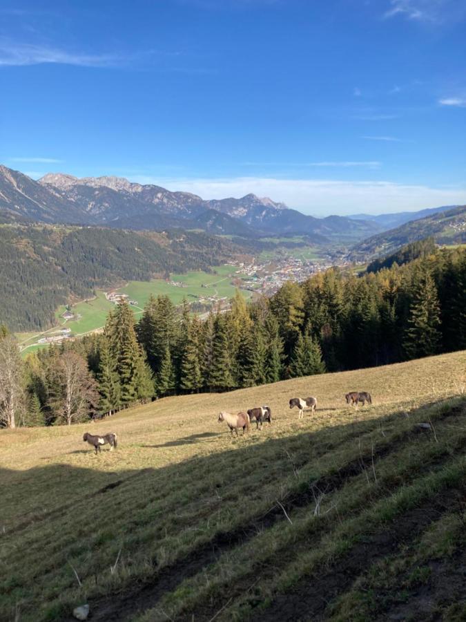 Apartment Rubin - Sld600 By Interhome Schladming Dış mekan fotoğraf